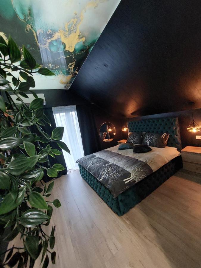 Stars Lux Room 베오그라드 객실 사진