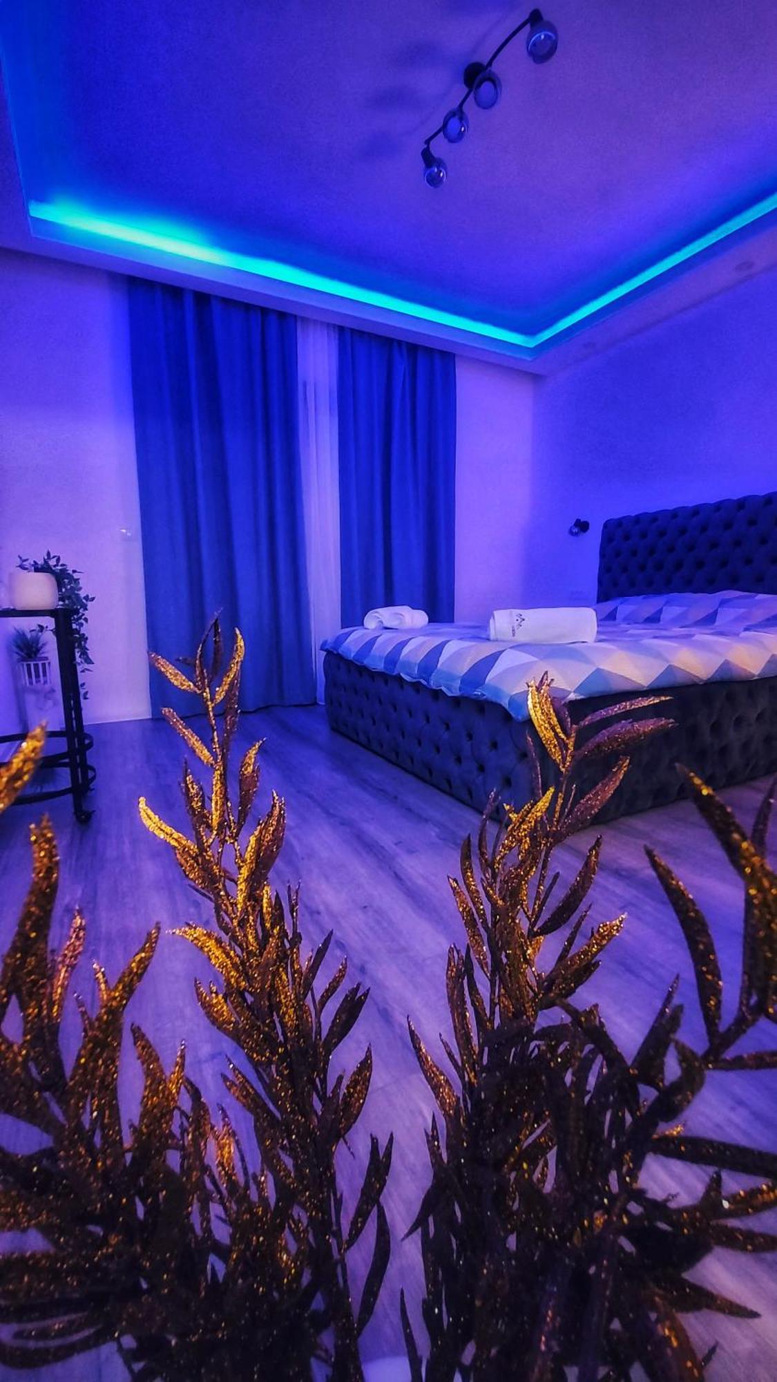 Stars Lux Room 베오그라드 객실 사진