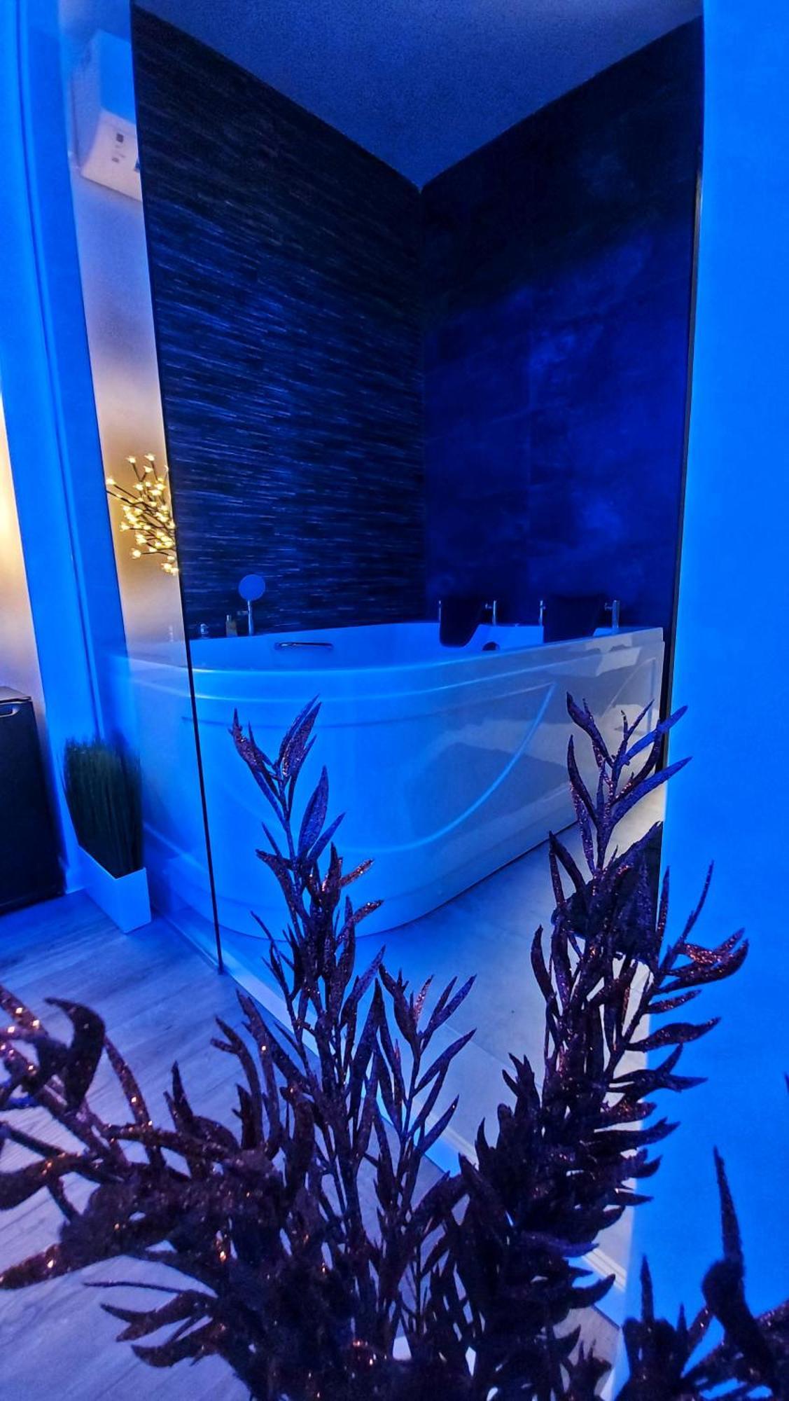 Stars Lux Room 베오그라드 객실 사진